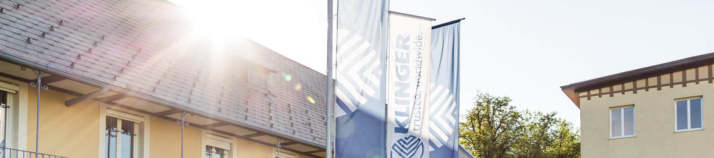 flags header