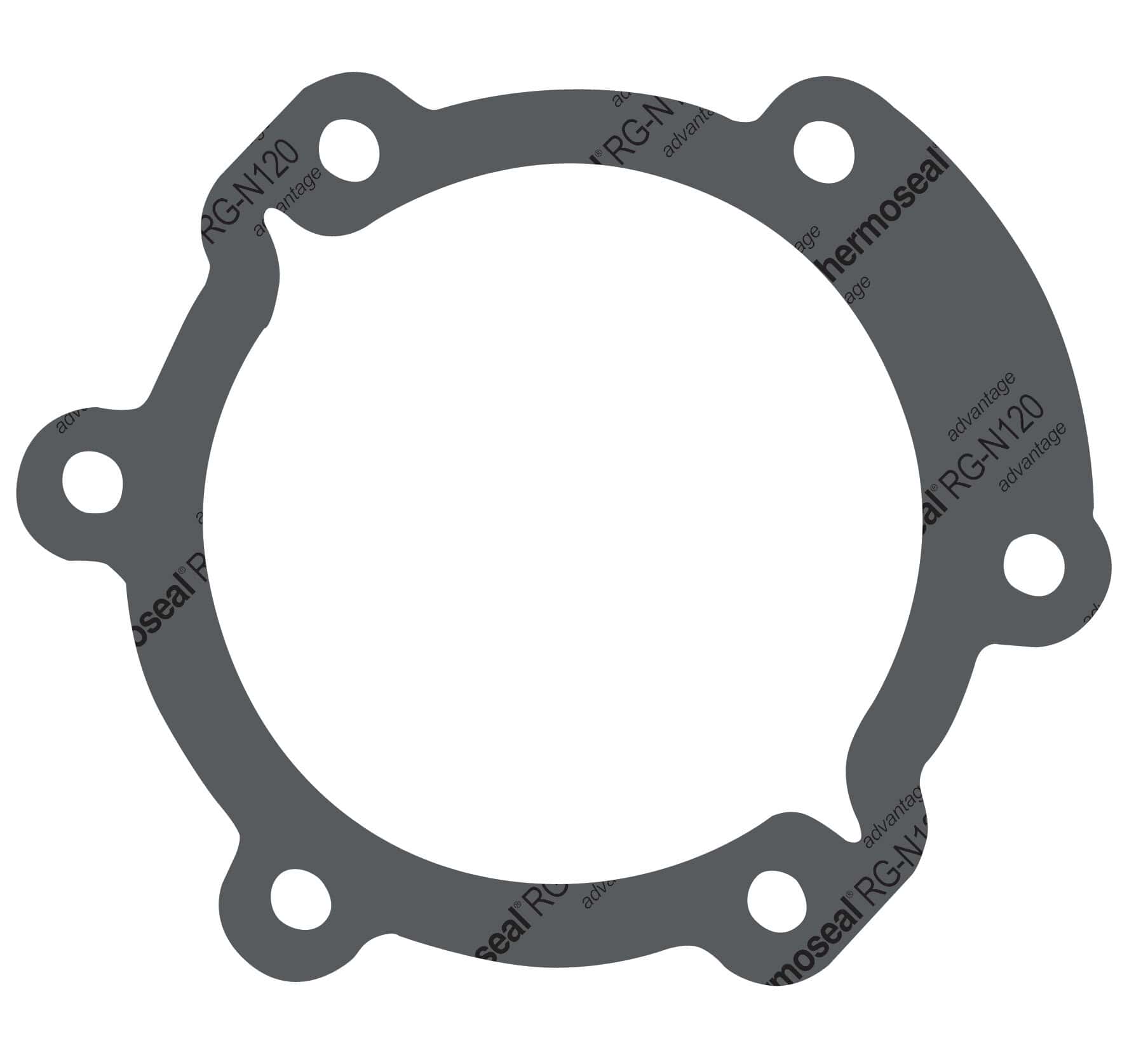 rg n120gasket